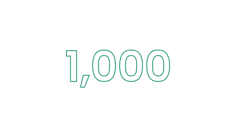 1,000